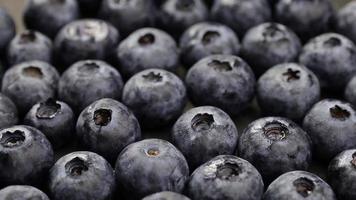 Blueberries fruits, blueberry fruit video