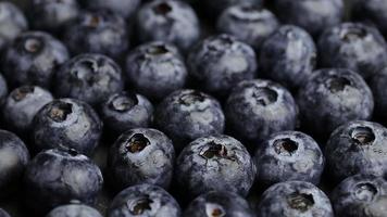 Blueberries fruits, blueberry fruit video