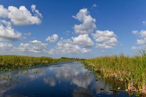 Florida wetland in the Everglades National Park in USA. Popular place for tourists, wild nature and animals. photo