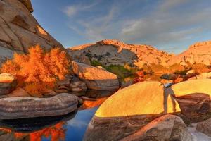 Barker Dam in Joshua Tree National Park in the evening at sunset. photo