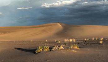 Sand Dunes along the Amargosa Desert at sunset photo