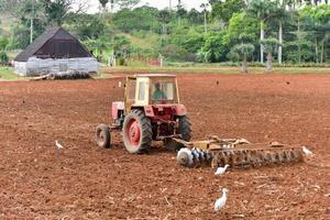 Tractor plowing a tobacco field in Vinales, Cuba. photo