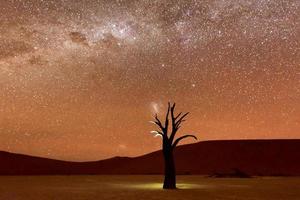 Dead Vlei, Namibia al anochecer foto