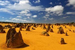 desierto de los pináculos, australia foto