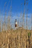 Montauk Lighthouse and beach in Long Island, New York, USA. photo