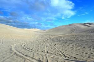 dunas de arena blanca de la reserva natural de nilgen foto