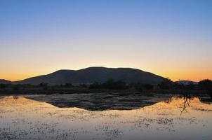 Sunset at Pilanesberg Nature Reserve looking over Mankwe Dam in South Africa. photo