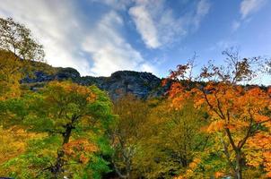 follaje de otoño vermont foto