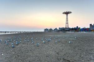 Beach with Seagulls photo