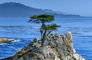 Beautiful view of Pebble Beach and the California coastline along 17 mile drive. photo