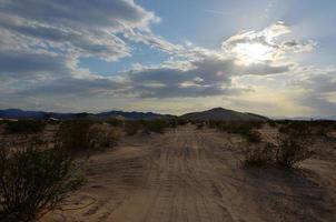 dunas de arena a lo largo del desierto de amargosa al atardecer foto