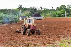 Tractor plowing a tobacco field in Vinales, Cuba. photo