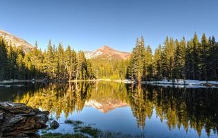 prados de tuolumne, parque de yosemite foto