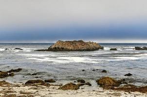 Bird Rock is one of the most popular stops along the 17-Mile Drive. There are hundreds of birds, harbor seals and sea lions there. photo