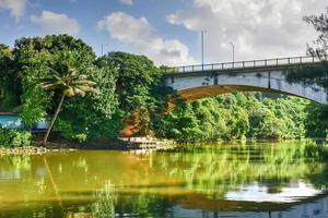 Almendares Park in the Great Metropolitan Park, also known as the forest of Havana in Cuba. photo