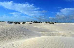 dunas de arena blanca de la reserva natural de nilgen foto