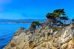 reserva natural del estado de point lobos justo al sur de carmel-by-the-sea, california, estados unidos, y en el extremo norte de la costa big sur del océano pacífico foto