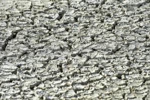 Etosha Salt Pan - Namibia photo