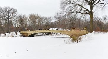 puente de proa, parque central, nueva york foto