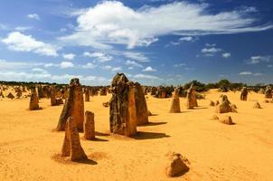 desierto de los pináculos, australia foto