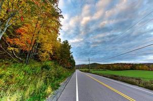 Fall Foliage Vermont photo