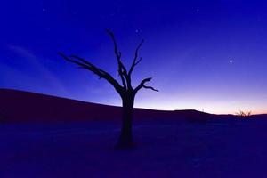 Dead Vlei, Namibia at Dusk photo