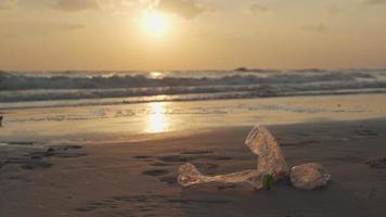 opslaan water. vrijwilliger plukken omhoog uitschot vuilnis Bij de strand en plastic flessen zijn moeilijk ontleden voorkomen kwaad aquatisch leven. aarde, omgeving, vergroening planeet, verminderen globaal opwarming, opslaan wereld video