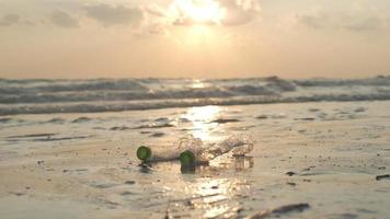 mensen verzamelen moeilijk te ontleden plastic flessen naar voorkomen kwaad naar aquatisch leven. aarde dag of milieu dag. vergroening de planeet en verminderen globaal opwarming video