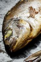 Closeup of Baked Dorado fish on oven tray photo