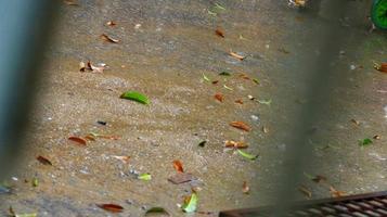 gotas de lluvia golpeando el suelo en karachi pakistán 2022 foto