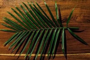 Closeup of small palm leaf on wooden surface photo