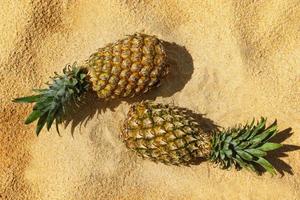 Pineapple on the beach photo