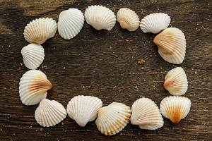 Seashells on wooden surface photo