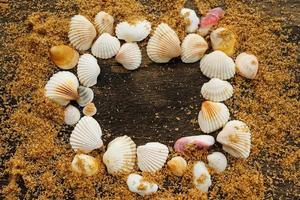 Different seashells and sand photo