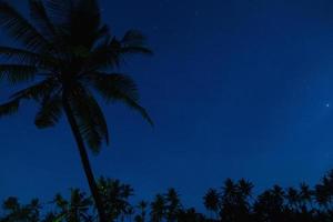 cielo nocturno escénico con muchas estrellas y palmeras foto