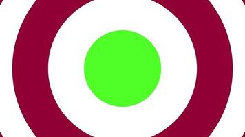 animación de transición de marcación circular púrpura oscuro y blanco en pantalla verde y canal alfa para cualquier video de canal