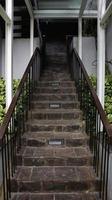 A staircase with natural stone floors overgrown with ornamental plants on the left and right. photo