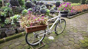 Vintage white bicycle with baskets of flowers at the garden. White bicycle flower planter. Garden decoration. photo