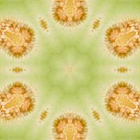 Shiny and Hypnotizing Colorful Kaleidoscope background photo