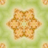 Shiny and Hypnotizing Colorful Kaleidoscope background photo