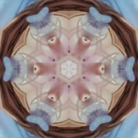 Shiny and Hypnotizing Colorful Kaleidoscope background photo