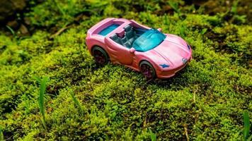un coche de juguete en un suelo verde cubierto de musgo foto