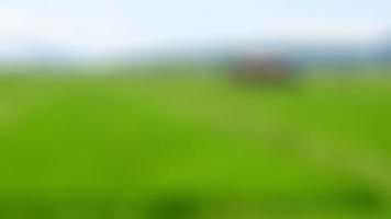 cabin in the middle of the rice fields surrounded by hills photo