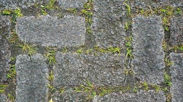 paving block texture with weeds in the gaps as background photo