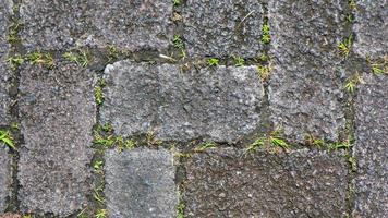paving block texture with weeds in the gaps as background photo