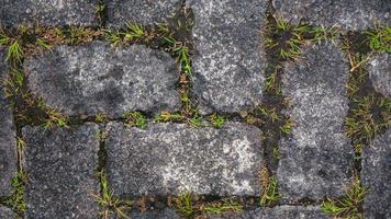 paving block texture with weeds in the gaps as background photo