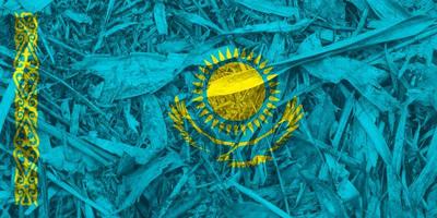 kazakhstan flag texture as the background photo