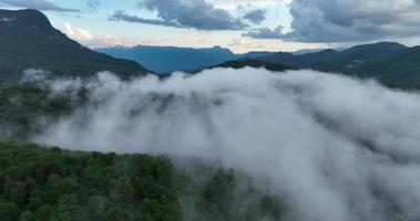 Drone flight over the mountain forest covered with thick fog in summer. Cinematic aerial video of nature in 4K resolution