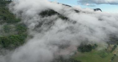 fuco volo al di sopra di il montagna foresta coperto con di spessore nebbia nel estate. cinematico aereo video di natura nel 4k risoluzione