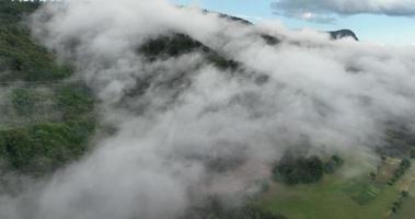 vol de drone au-dessus de la forêt de montagne couverte d'un épais brouillard en été. vidéo aérienne cinématographique de la nature en résolution 4k video